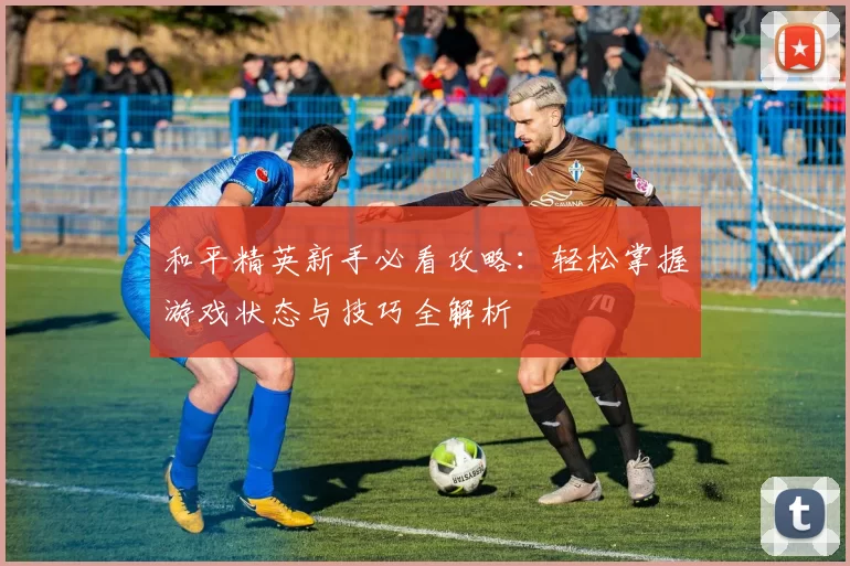 和平精英新手必看攻略：轻松掌握游戏状态与技巧全解析