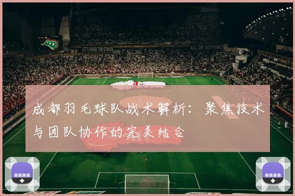 成都羽毛球队战术解析：聚焦技术与团队协作的完美结合