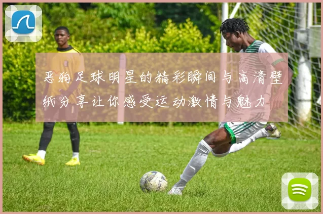 恶狗足球明星的精彩瞬间与高清壁纸分享让你感受运动激情与魅力