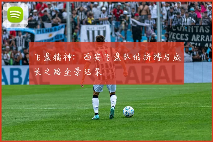 飞盘精神：西安飞盘队的拼搏与成长之路全景记录