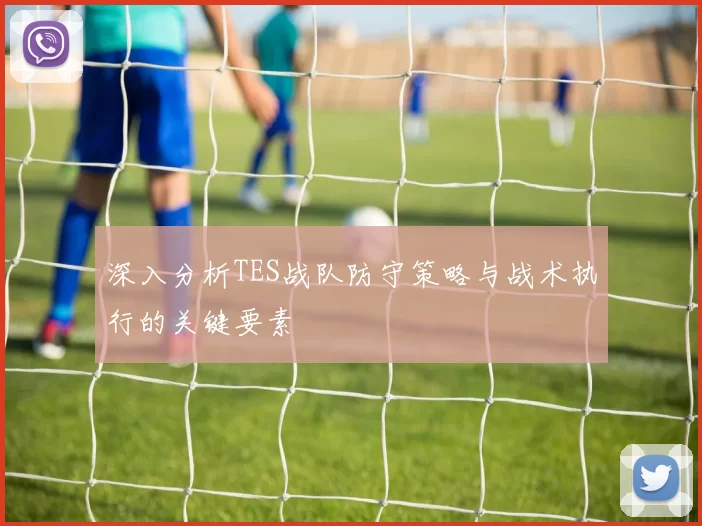 深入分析TES战队防守策略与战术执行的关键要素