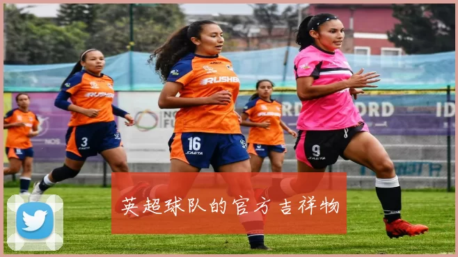 英超球队的官方吉祥物
