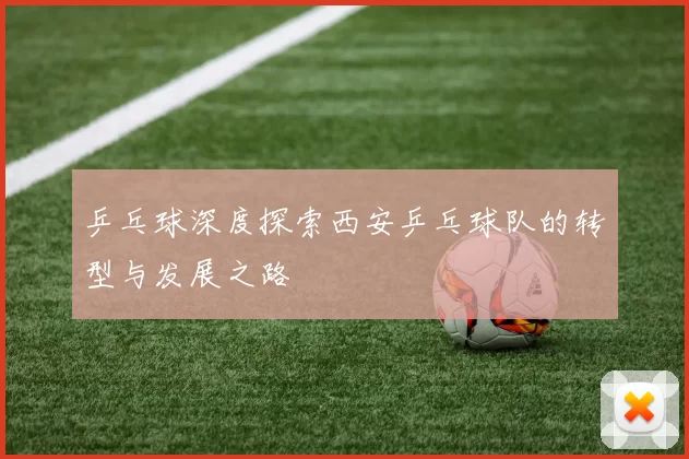 乒乓球深度探索西安乒乓球队的转型与发展之路