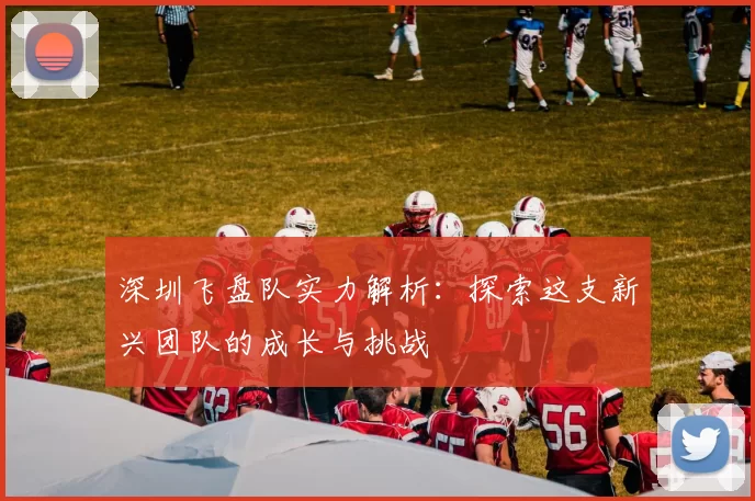 深圳飞盘队实力解析：探索这支新兴团队的成长与挑战