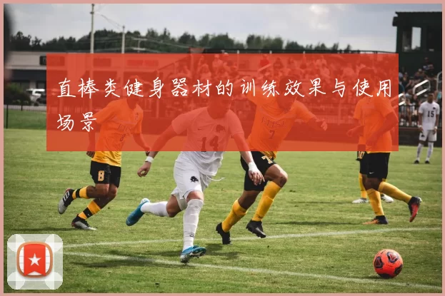 直棒类健身器材的训练效果与使用场景
