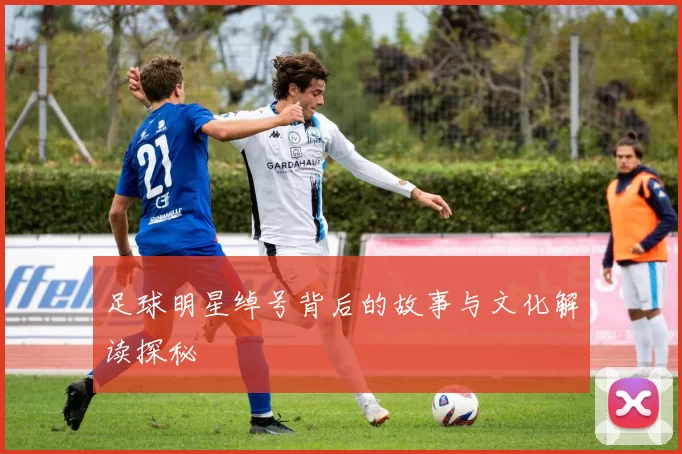 足球明星绰号背后的故事与文化解读探秘
