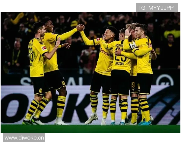 黄黑军团战力评估与德甲最新排名深度剖析及未来走势分析