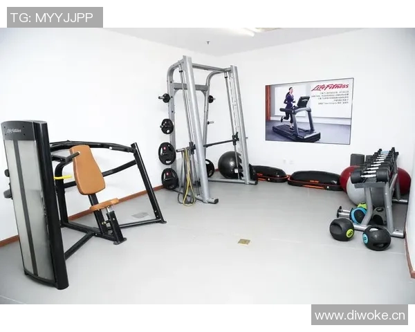 遂生健身器材品牌介绍与特点